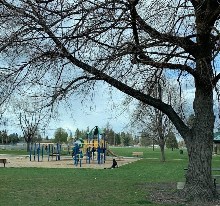 Soccer Field image 2