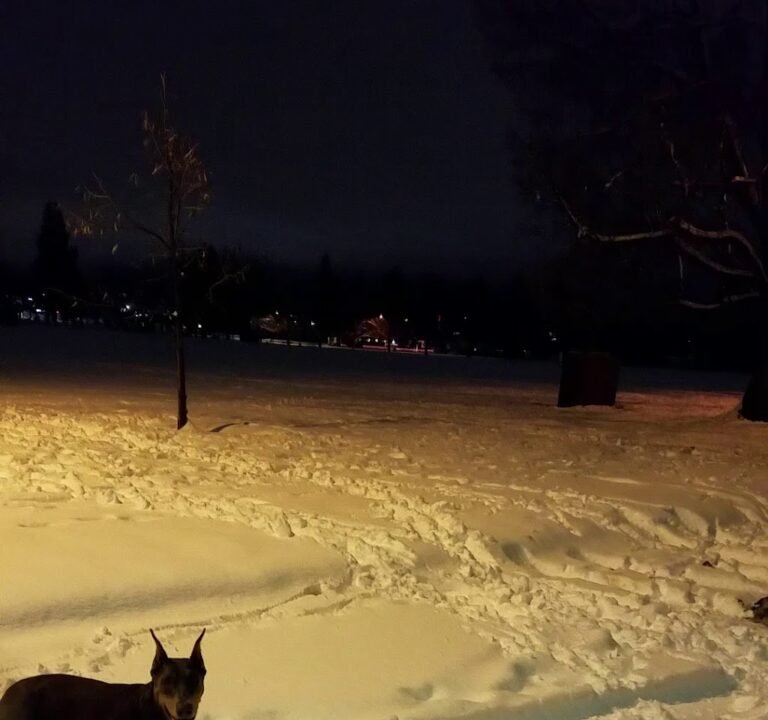 Soccer Field image 3