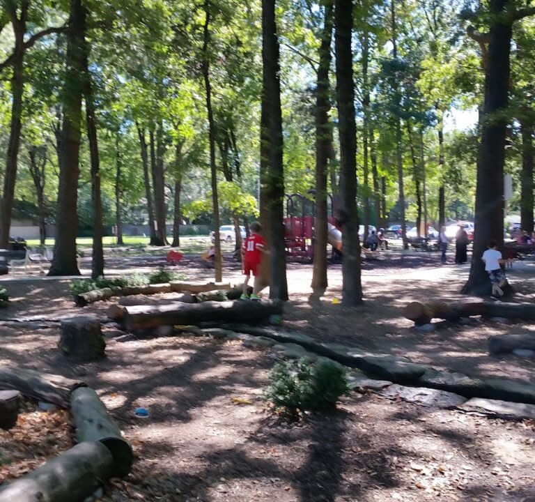 Soccer Field image 2