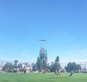 Soccer Field image 4