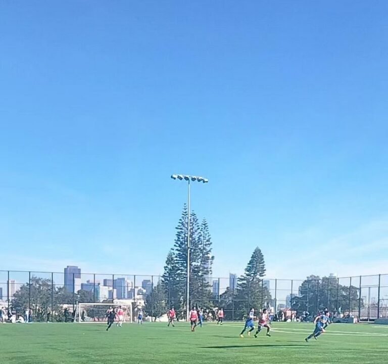 Soccer Field image 4