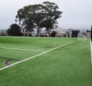 Soccer Field image 2