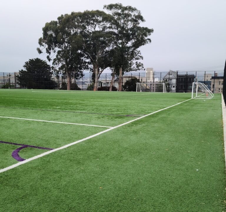 Soccer Field image 2