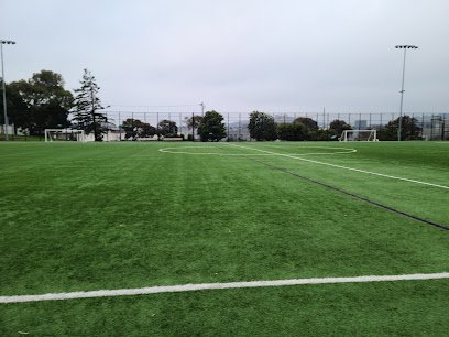 Soccer Field image 1