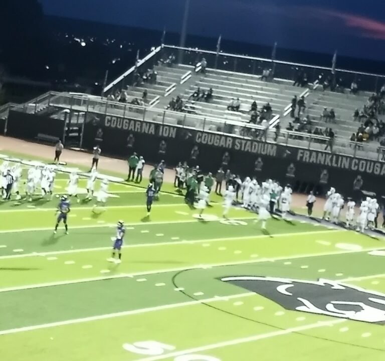 Soccer Field image 2