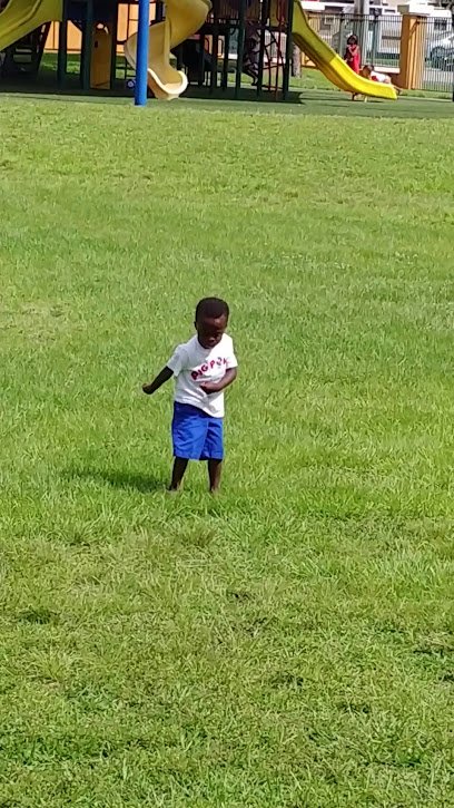 Soccer Field image 1