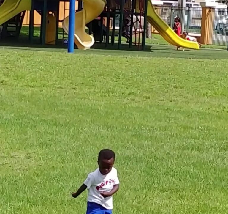 Soccer Field image 2