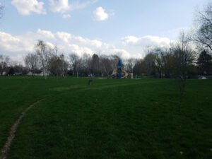 Soccer Field image 1