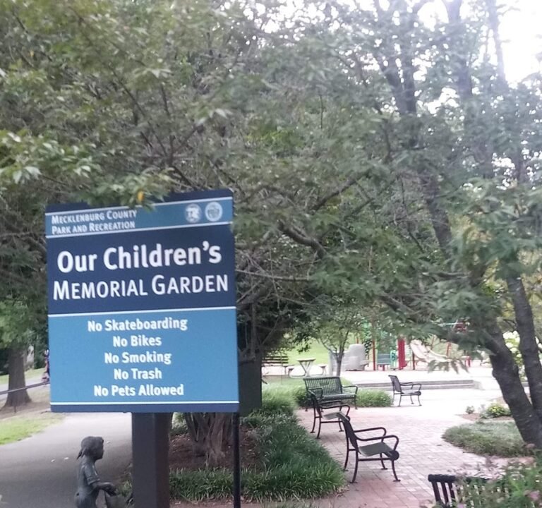 Soccer Field image 3