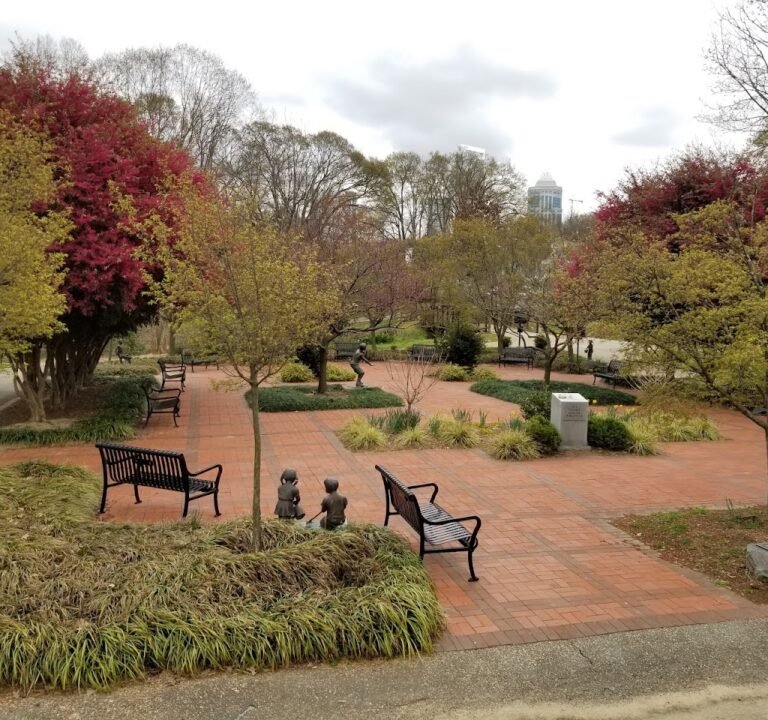 Soccer Field image 2