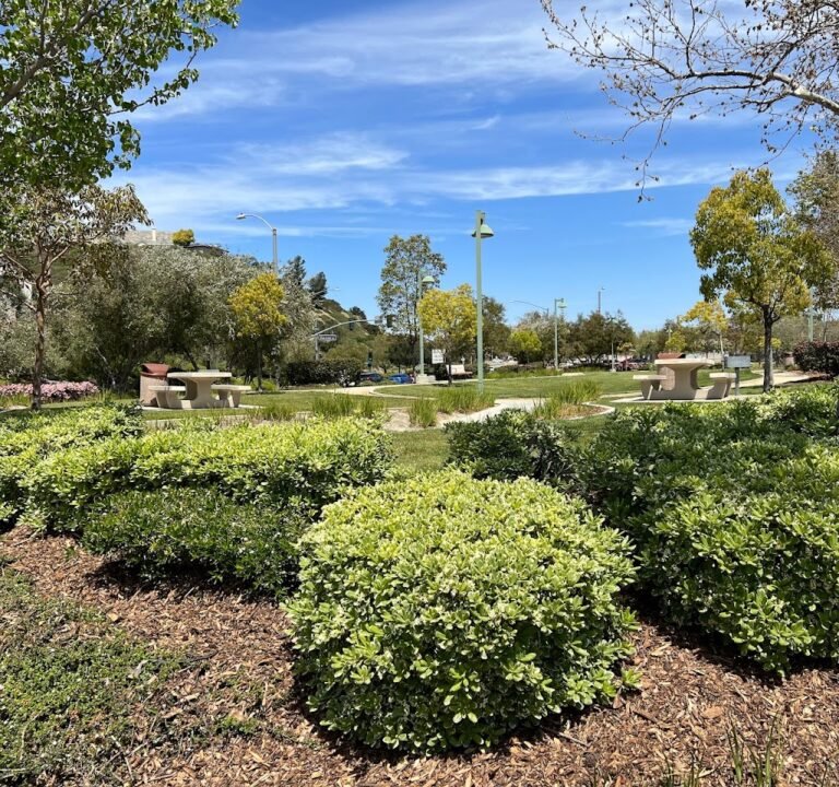 Soccer Field image 3