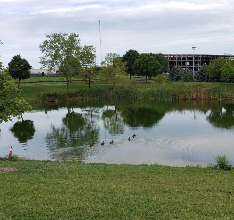 Soccer Field image 3