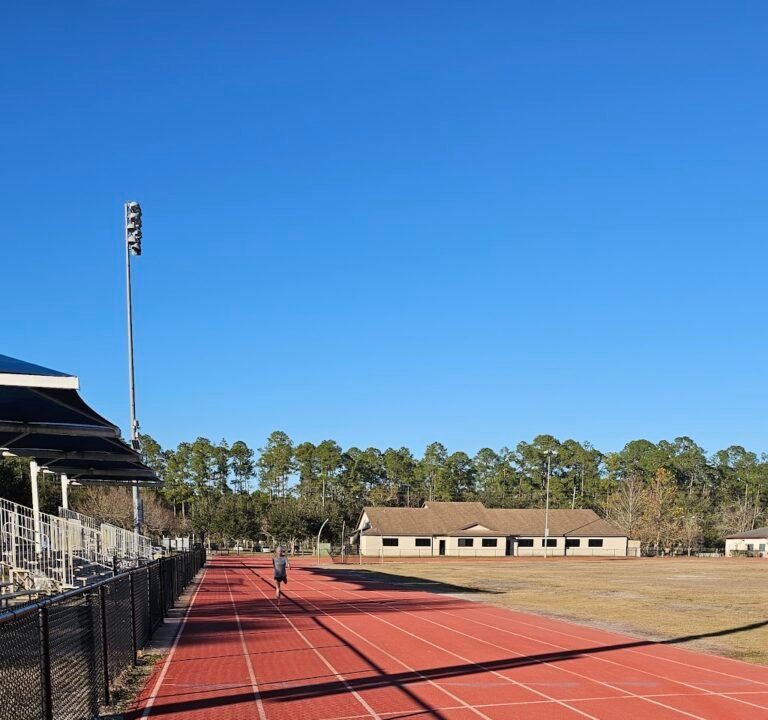 Soccer Field image 2