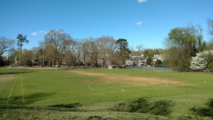 Soccer Field image 1
