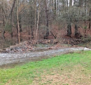 Soccer Field image 3