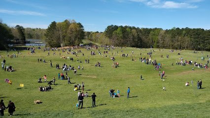 Soccer Field image 1
