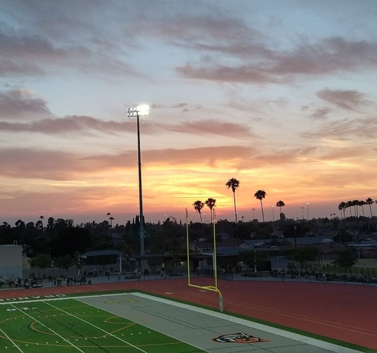 Soccer Field image 2
