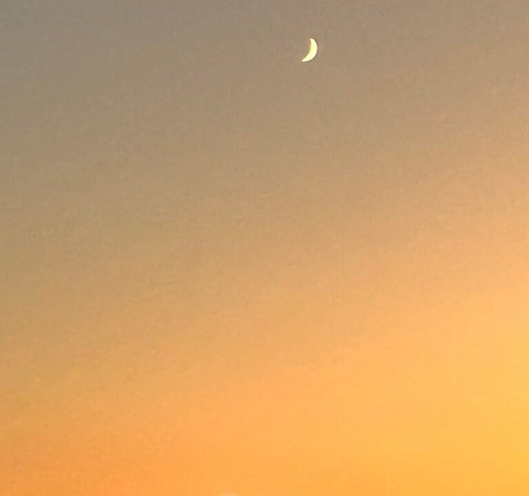 Soccer Field image 3