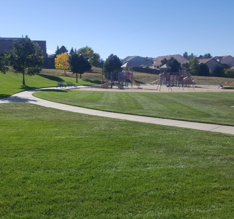 Soccer Field image 2