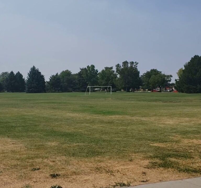 Soccer Field image 4