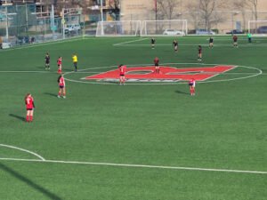 Soccer Field image 1
