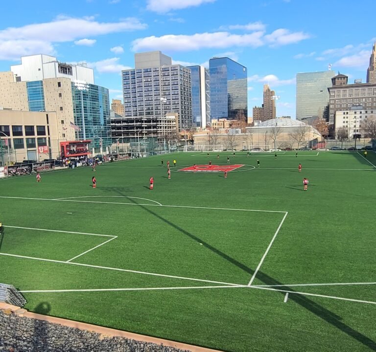 Soccer Field image 2