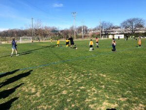 Soccer Field image 1