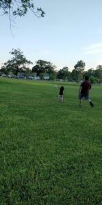 Soccer Field image 1