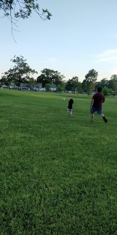 Soccer Field image 1