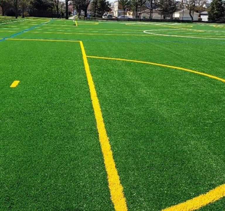 Soccer Field image 2