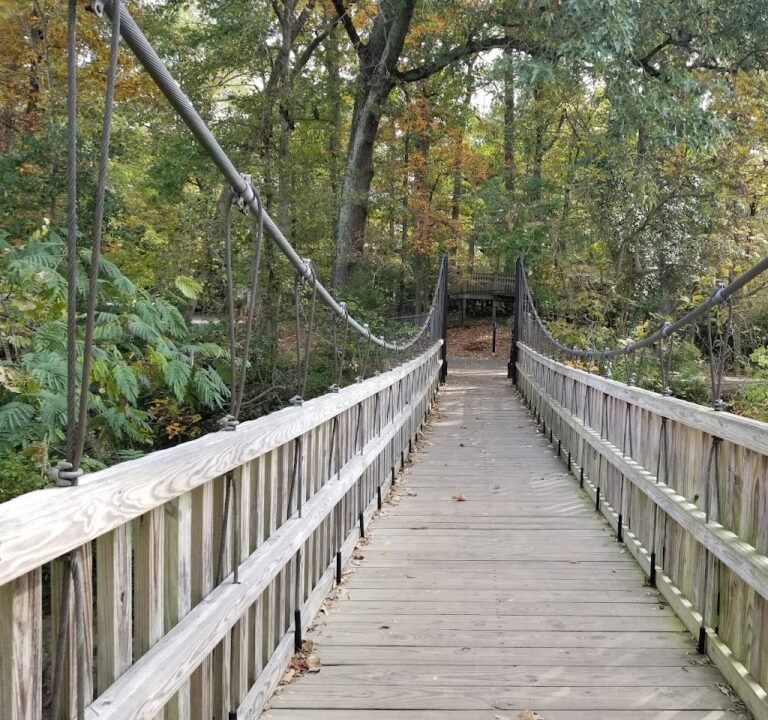 Soccer Field image 2