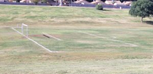 Soccer Field image 1