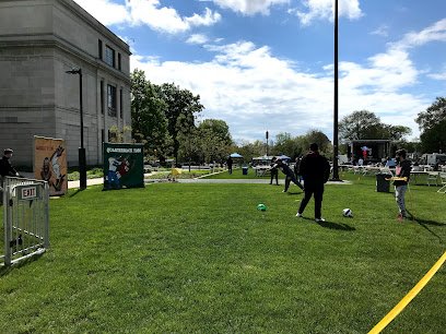 Soccer Field image 1