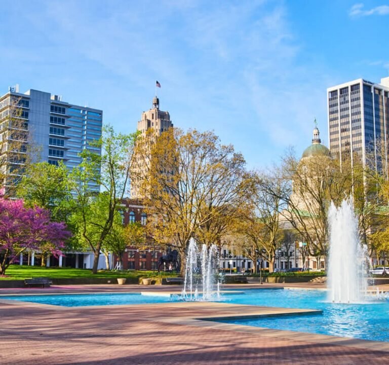 Soccer Field image 2