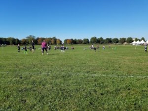 Soccer Field image 1