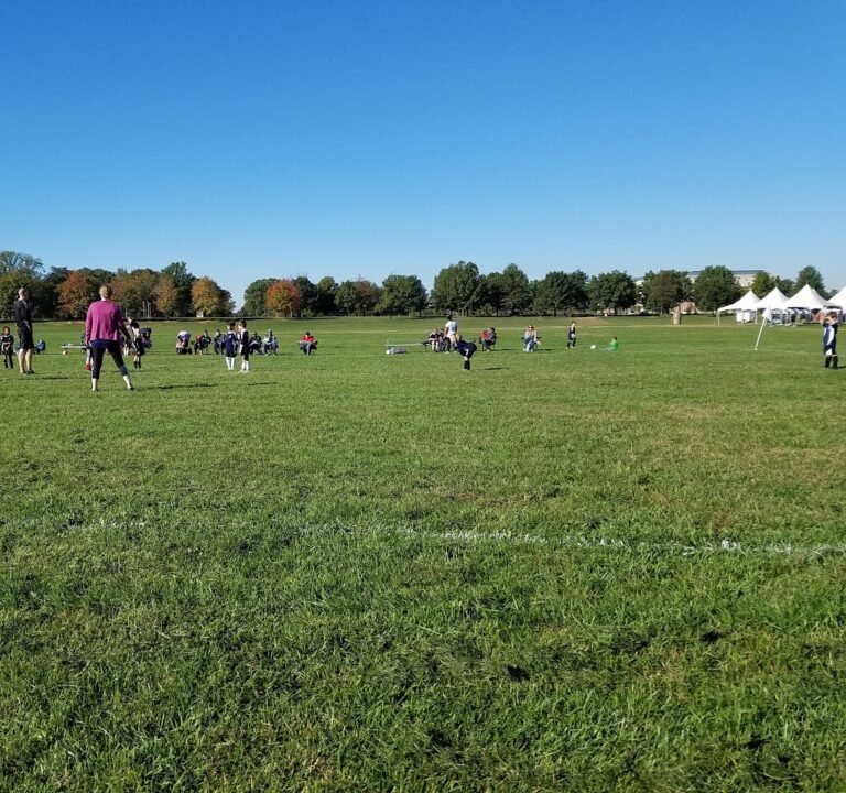 Soccer Field image 2