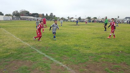 Soccer Field image 1