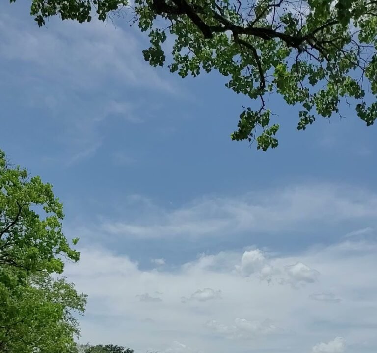 Soccer Field image 3