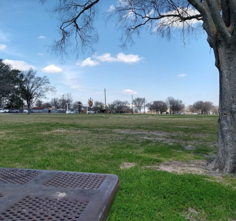 Soccer Field image 2