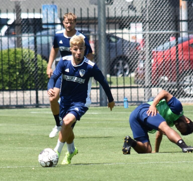 Soccer Field image 3