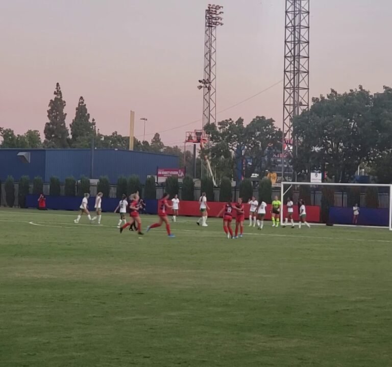 Soccer Field image 3