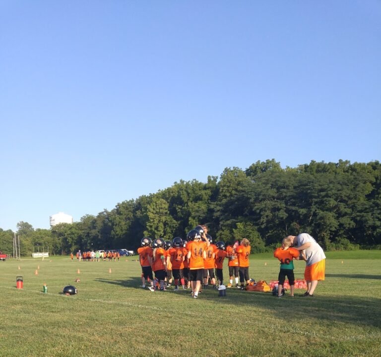 Soccer Field image 2