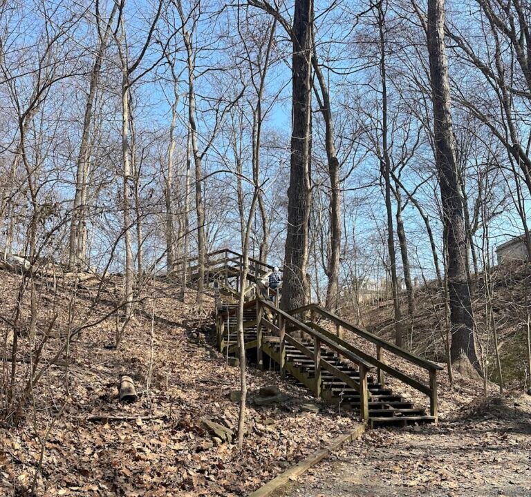 Soccer Field image 3