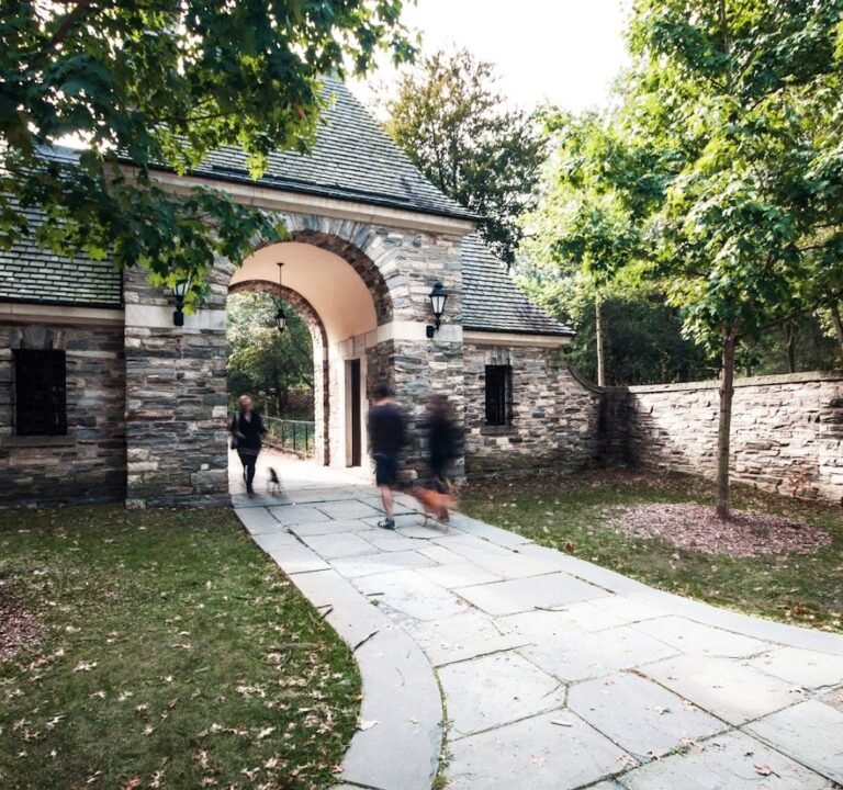 Soccer Field image 2