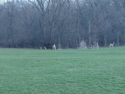 Soccer Field image 1
