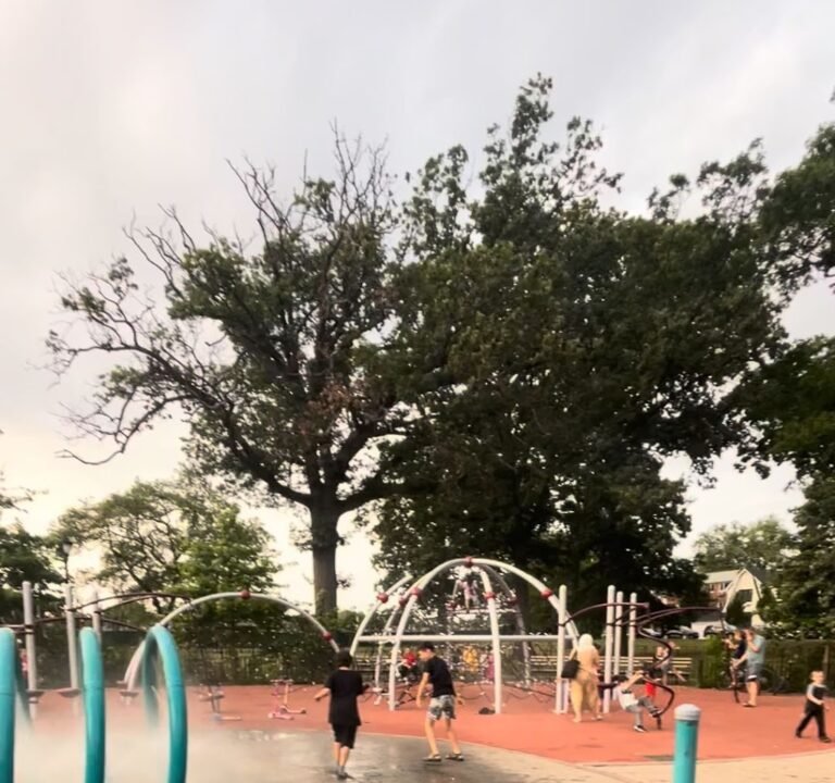 Soccer Field image 3