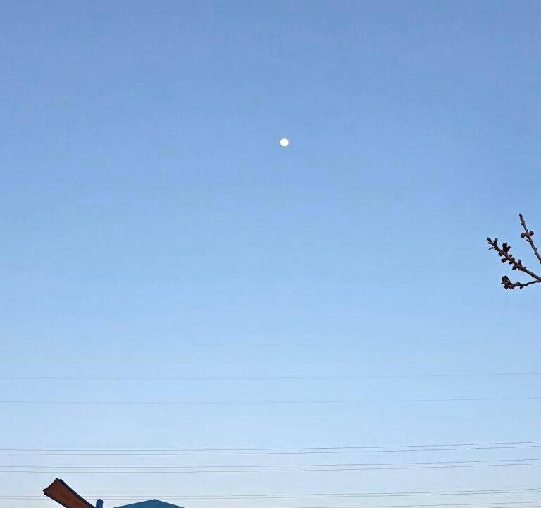 Soccer Field image 3