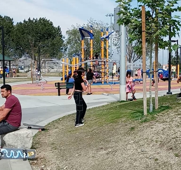 Soccer Field image 4