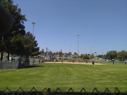 Soccer Field image 1