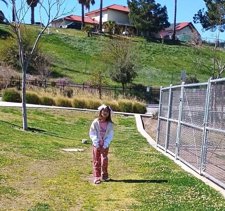 Soccer Field image 3